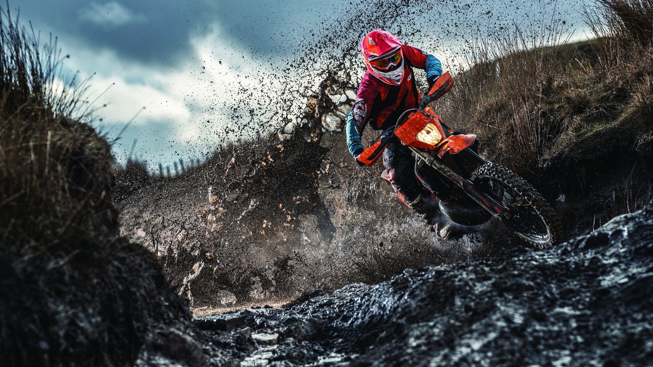 弗朗索瓦·斯图尔特：屡屡打破对方防线，南非队锋线的重要助力